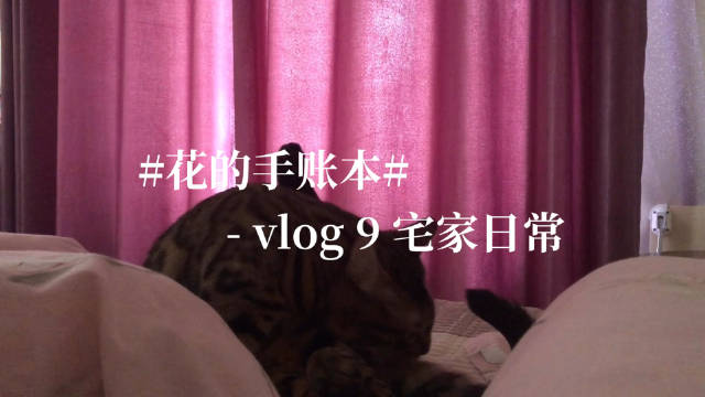 【花的手帐本】𝘃𝗹𝗼𝗴...